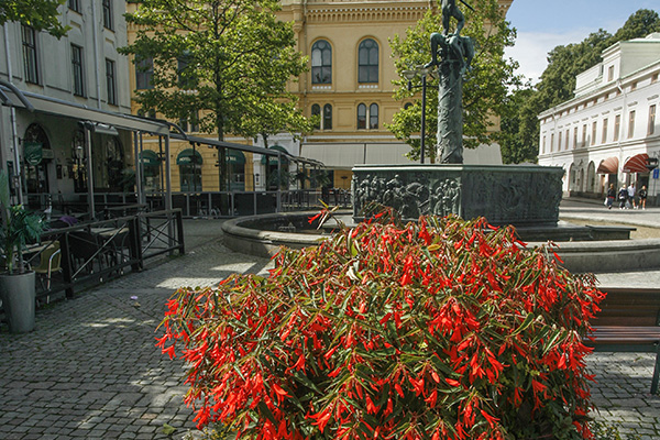 Larrmtorget